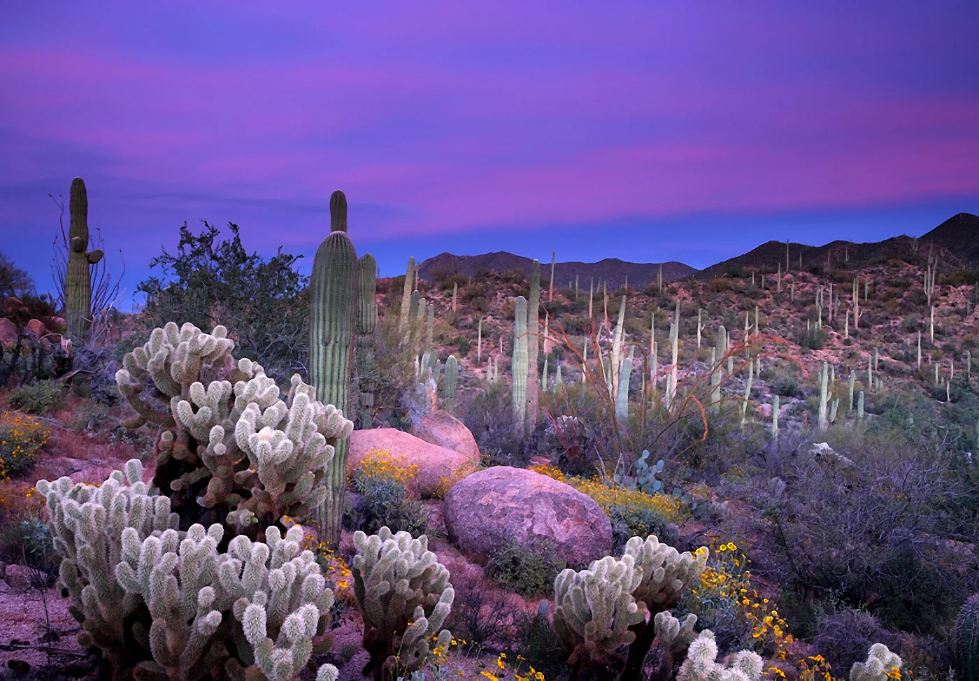 landscape_13.jpg