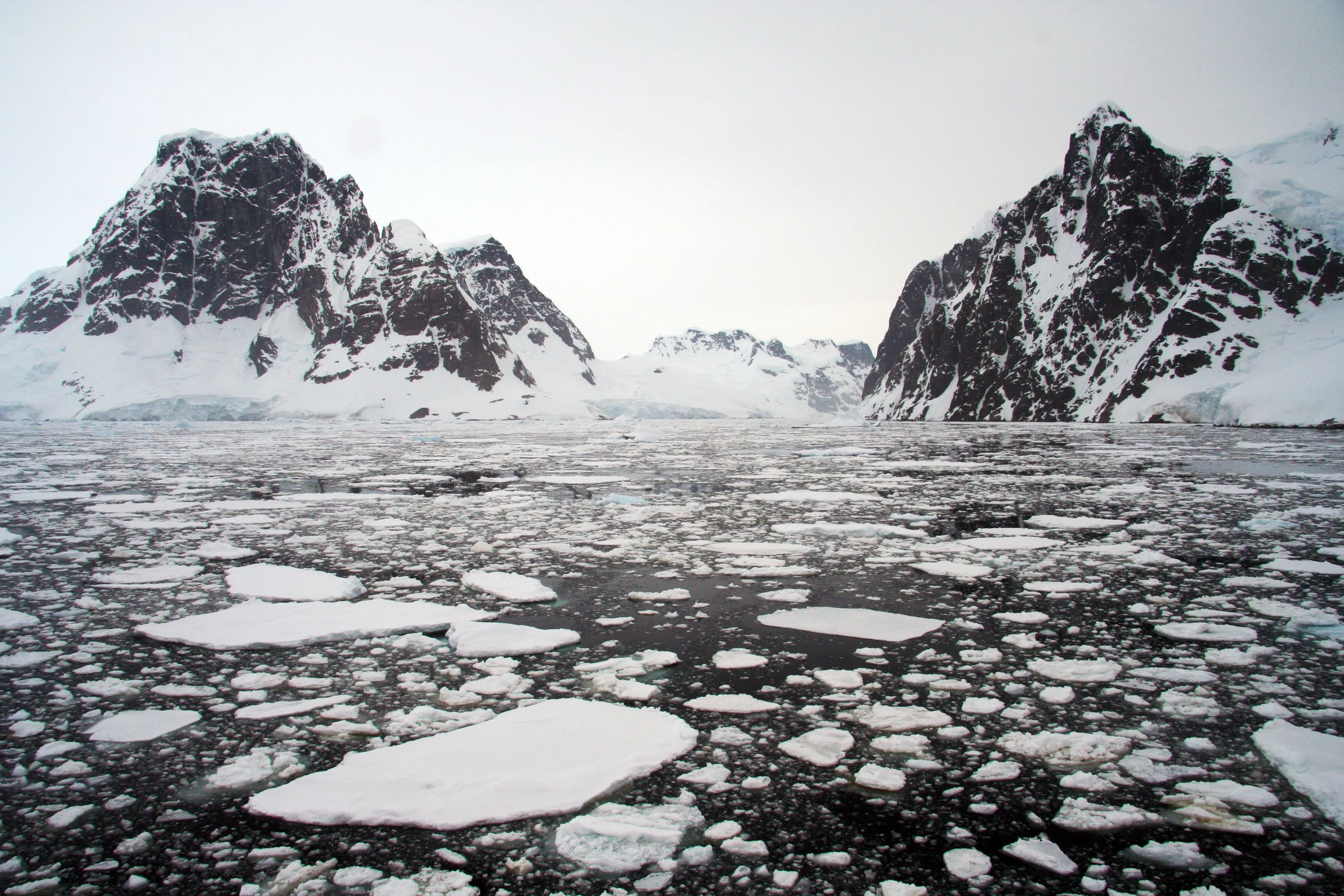 New Year's in Antarctica
