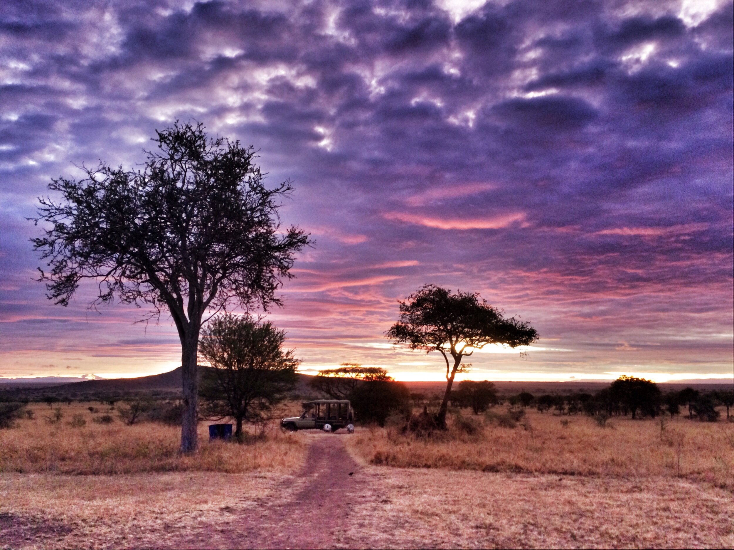 Camping in the Serengeti