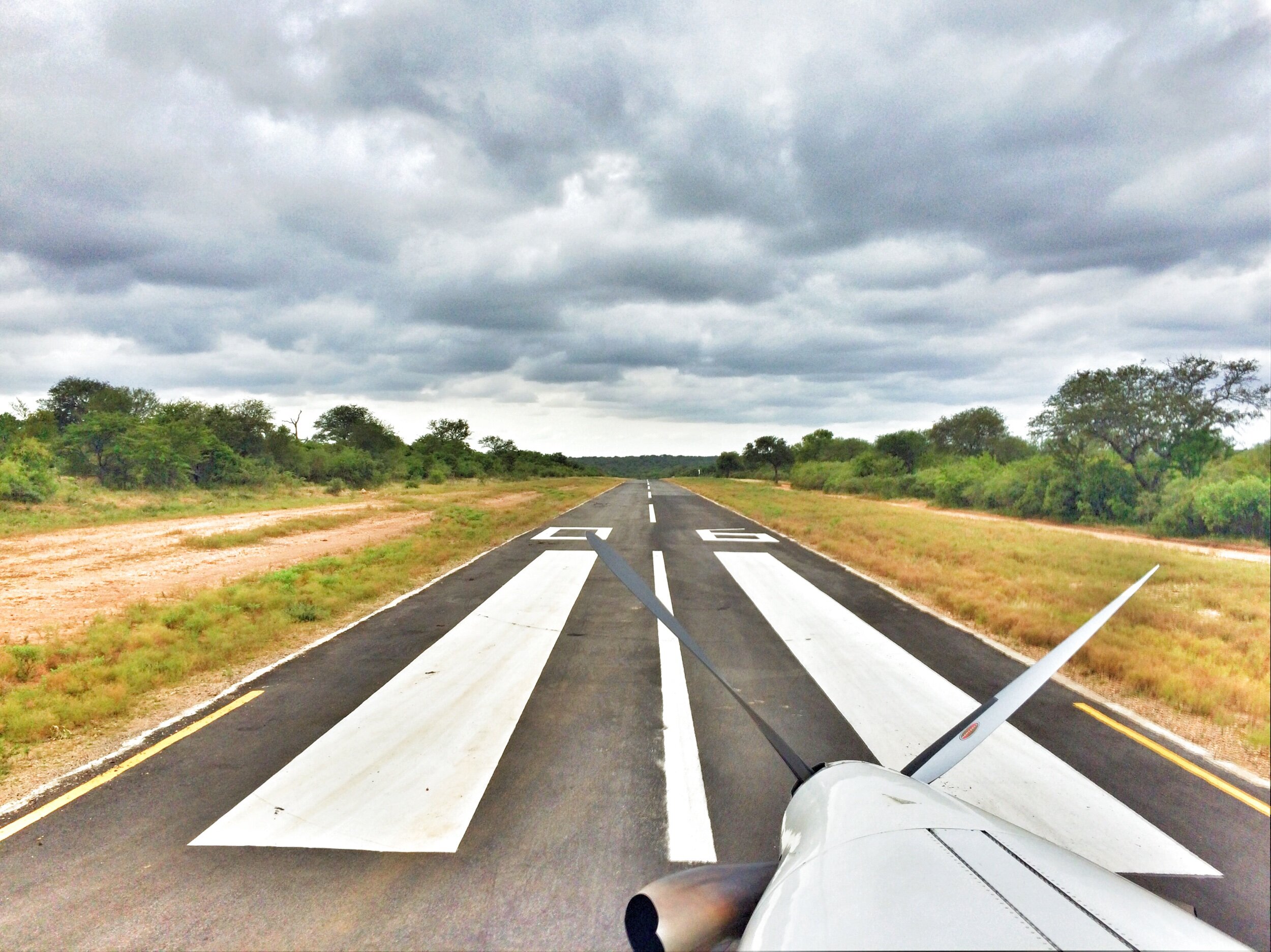 On Safari at Thornybush