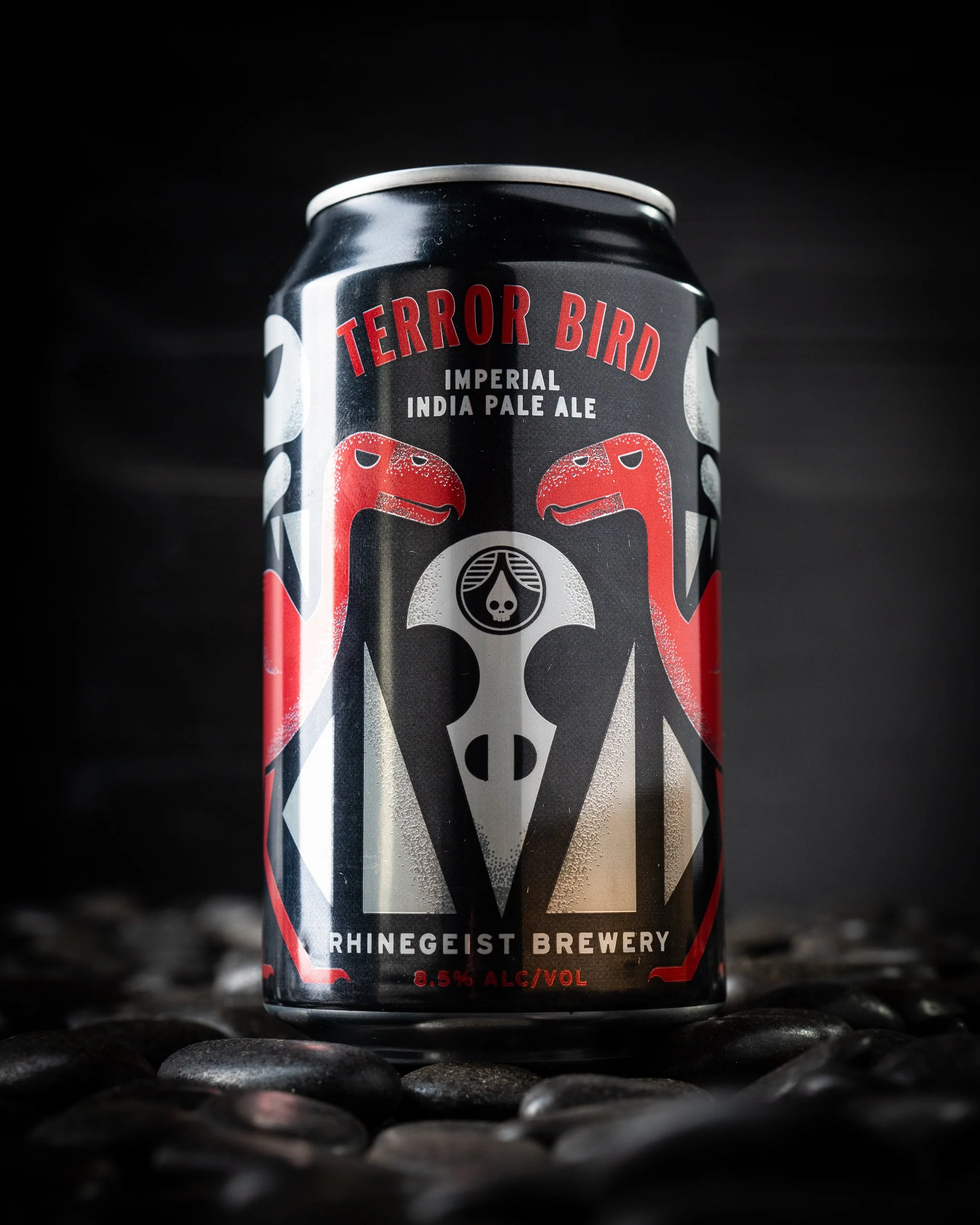 terrorbird_promo-4.jpg
