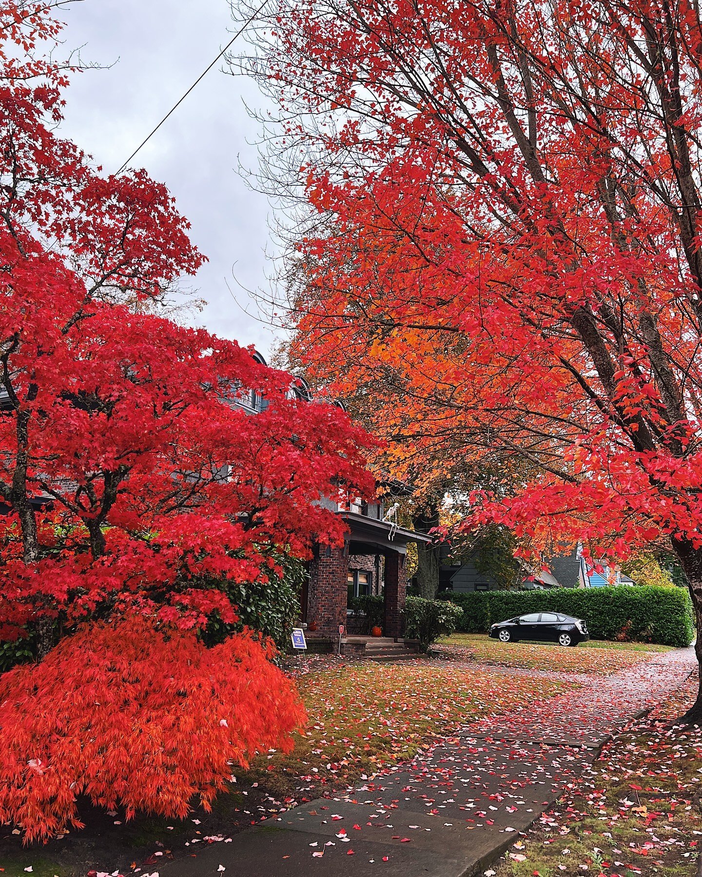 OCTOBER: I walked 93.14 miles.