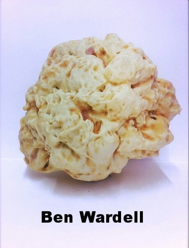 Ben Wardell