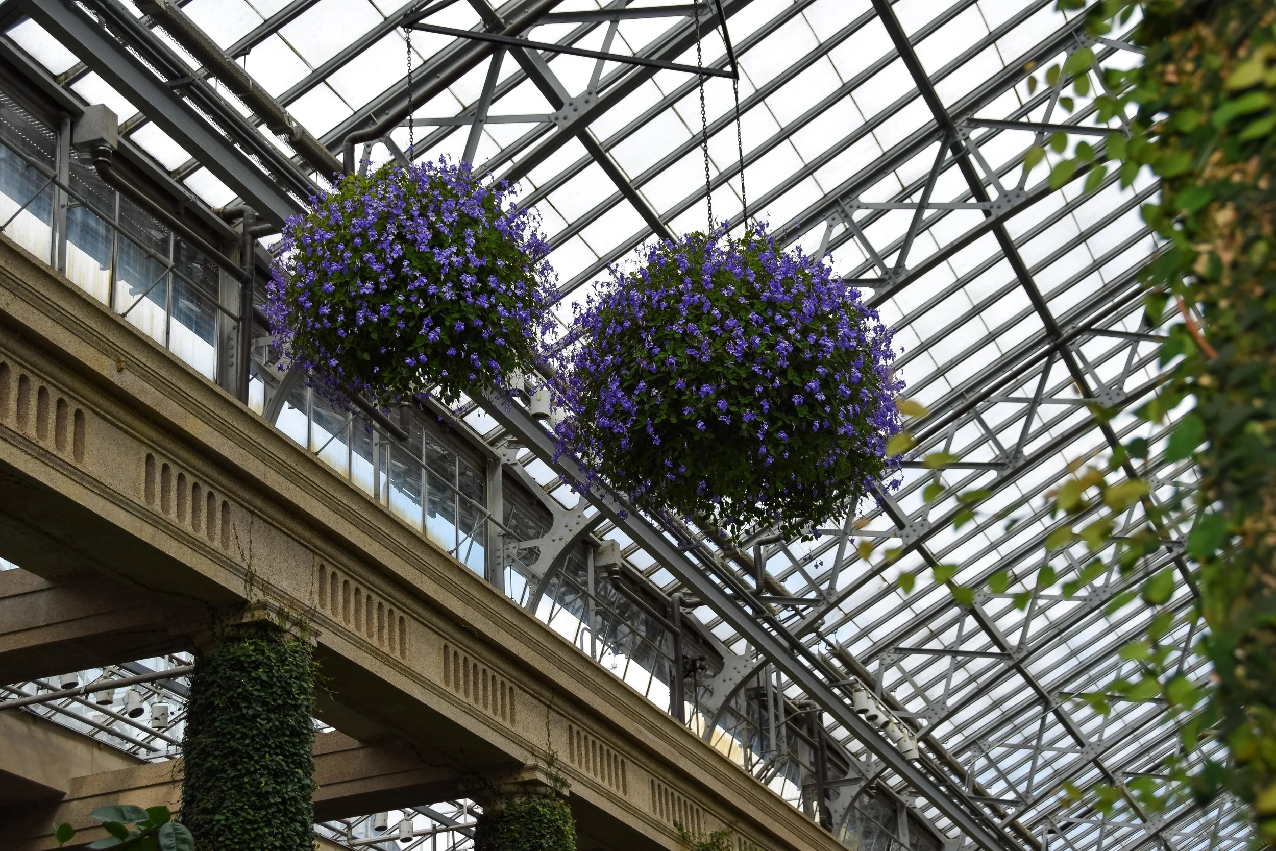 Longwood-2.jpg