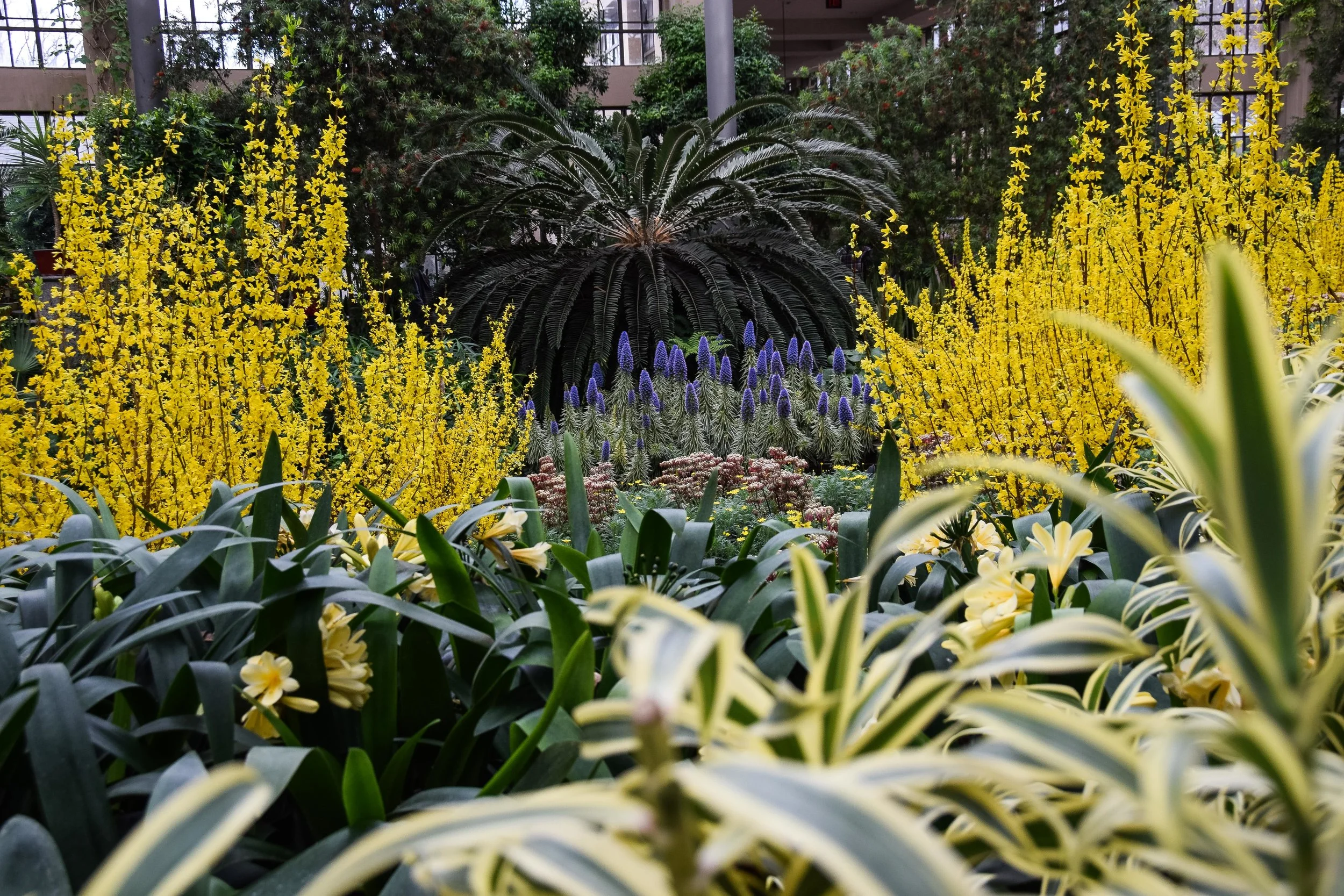 Longwood-13.jpg