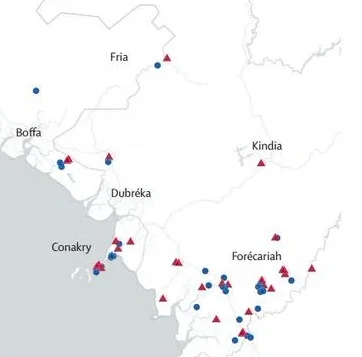 Efficacy and effectiveness of an rVSV-vectored vaccine expressing Ebola surface glycoprotein: interim results from the Guinea ring vaccination cluster-randomised trial