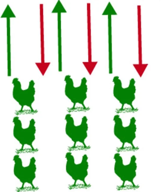 Crossing the scale from within-host infection dynamics to between-host transmission fitness: a discussion of current assumptions and knowledge