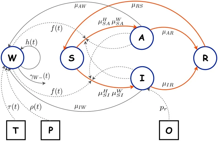 Cholera Transmission in Ouest Department of Haiti: Dynamic Modeling and the Future of the Epidemic