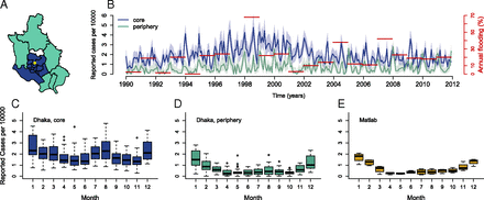 Differential and enhanced response to climate forcing in diarrheal disease due to rotavirus across a megacity of the developing world