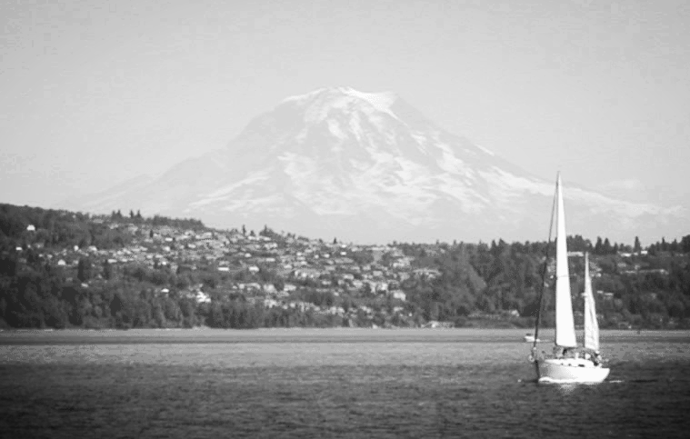 12th Summer Institute in Statistics and Modeling in Infectious Diseases (SISMID)