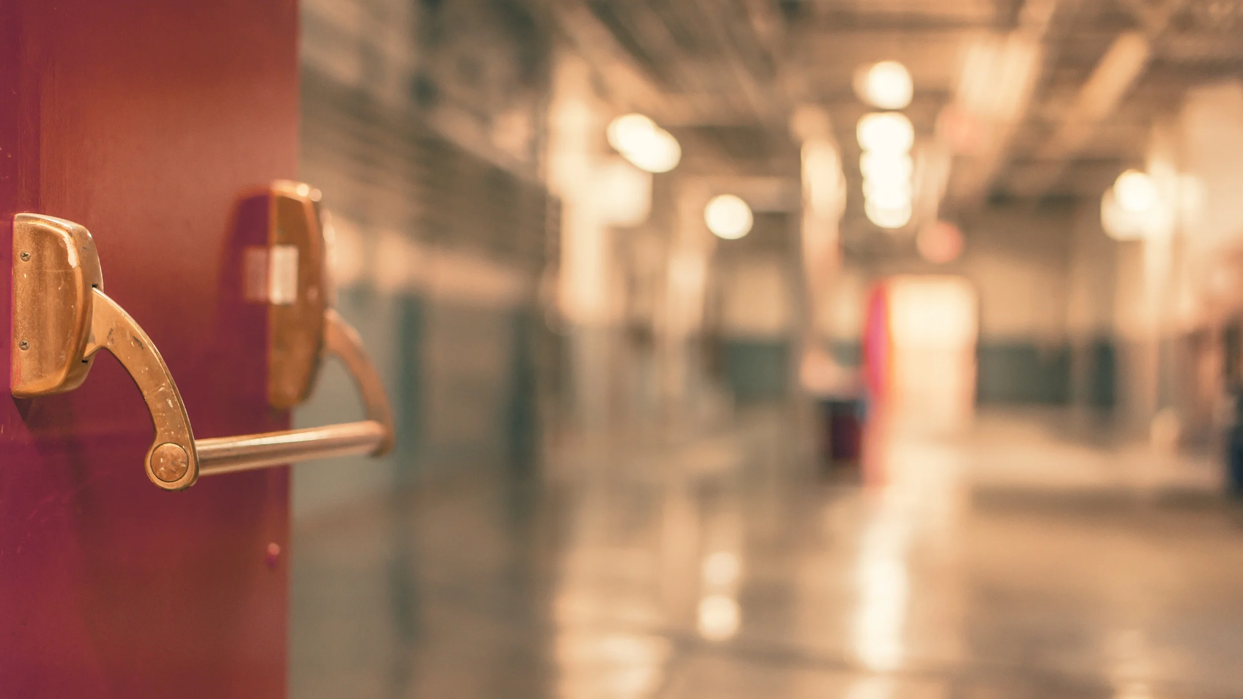 pexels-red-school-blur-factory.jpg