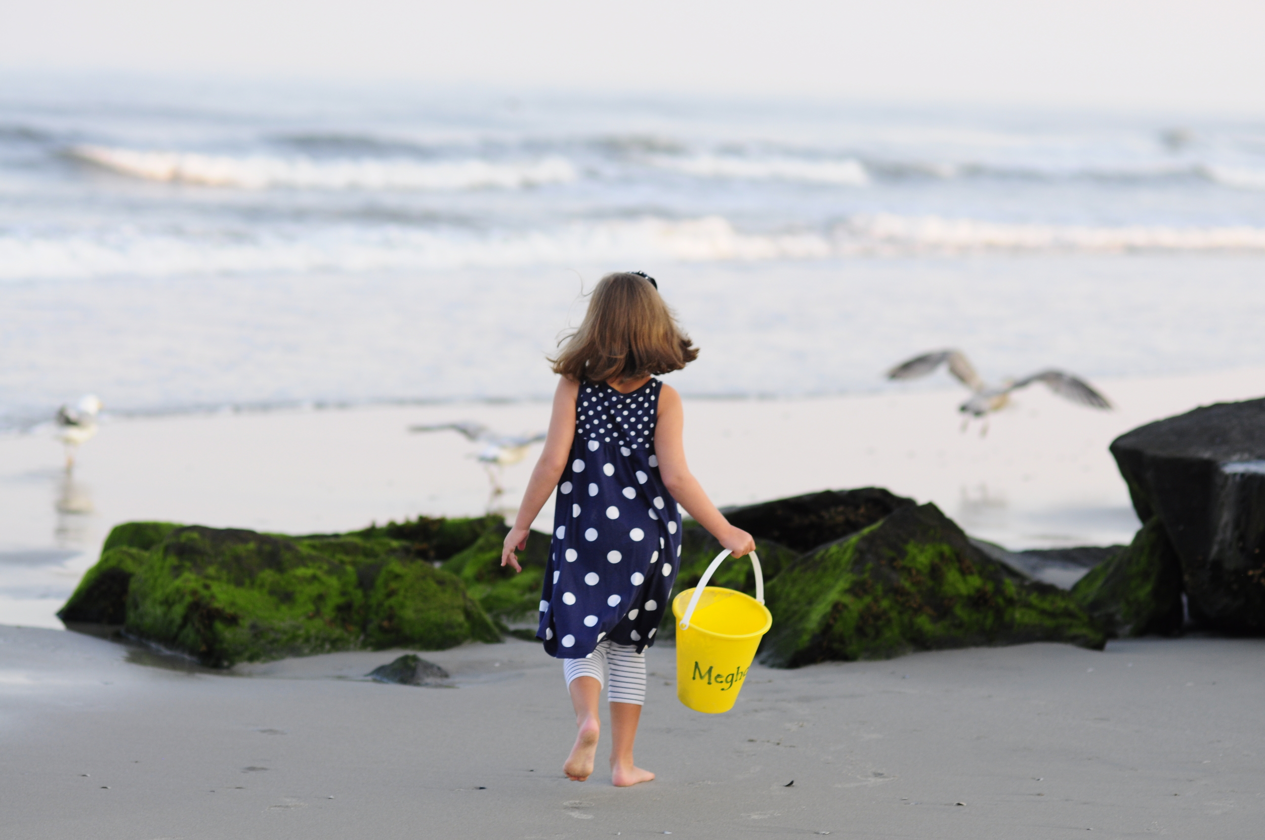 coyne_seaisle-2.JPG