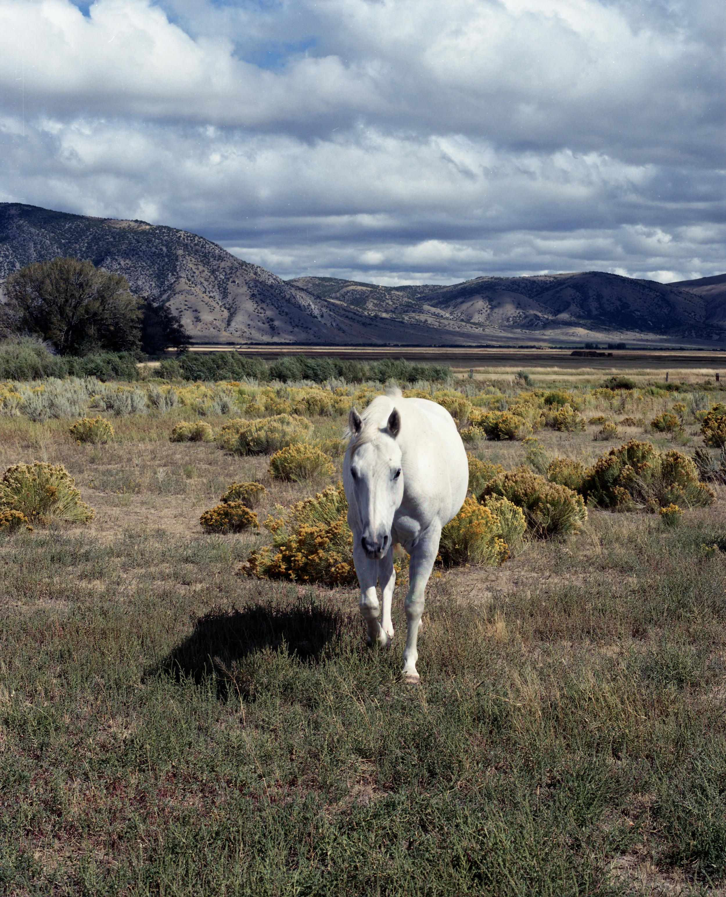 006_scan030.jpg