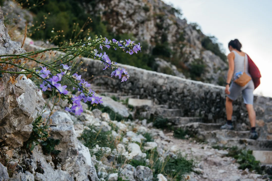 Purple flowers sprout out of the walls as we hike up the 1,350 steps to the top. 