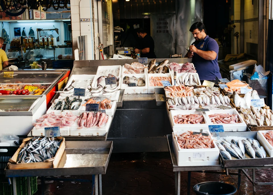 A local vender takes inventory of his fish for the day.