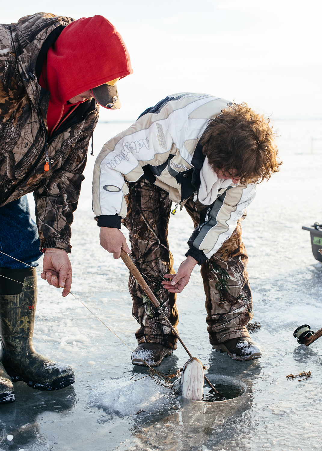 Bob's wife pulling the Northern Pike through the hole with a gaff. 