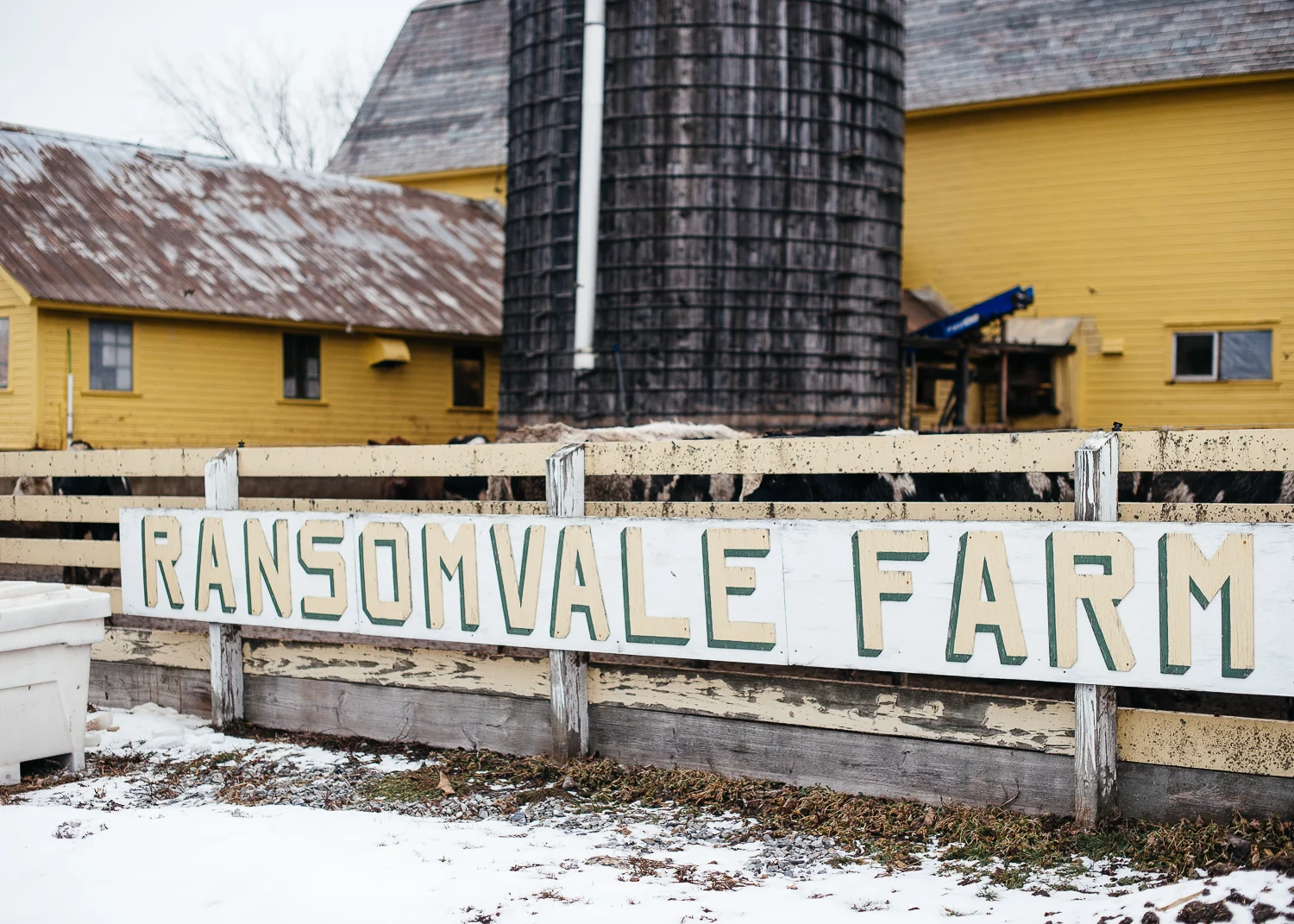 Ransomvale Farm