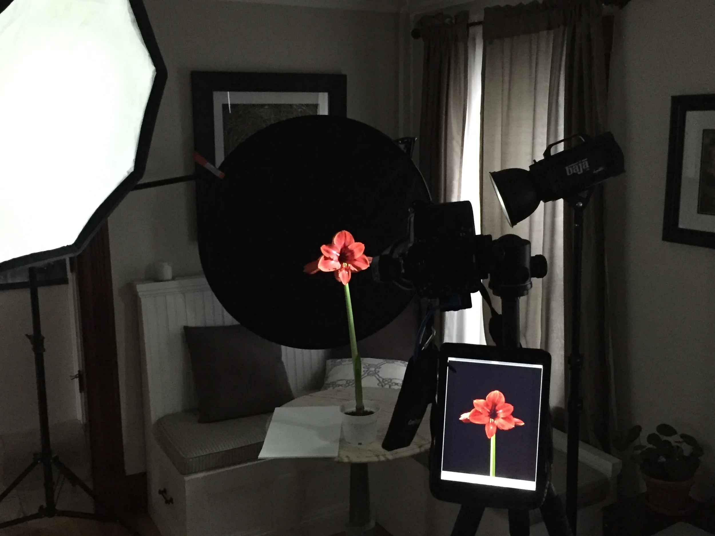 The setup