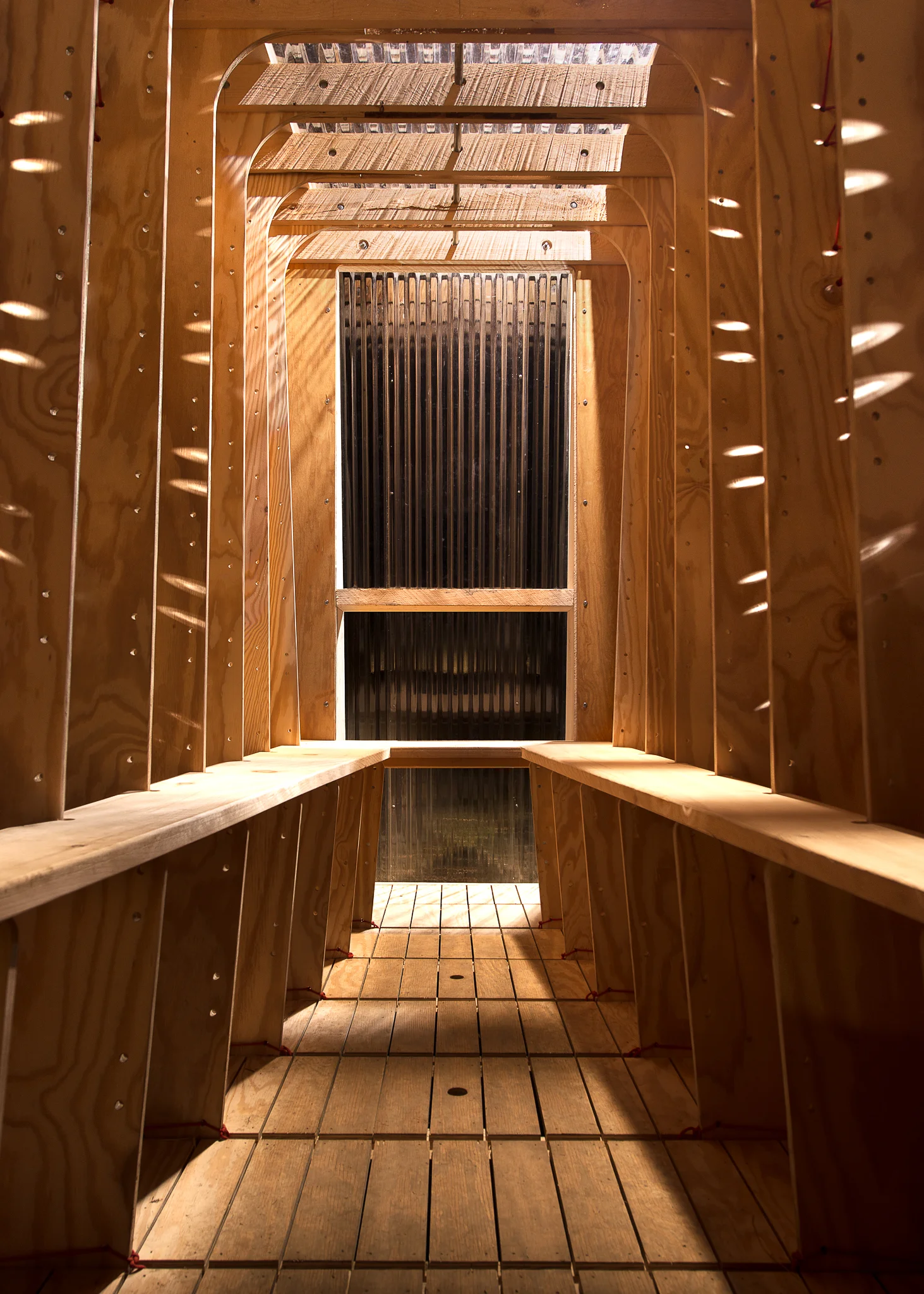 Interior: The holes for the paracord which held up the walls of the Ice Ark allowed dappled light to pour in. 
