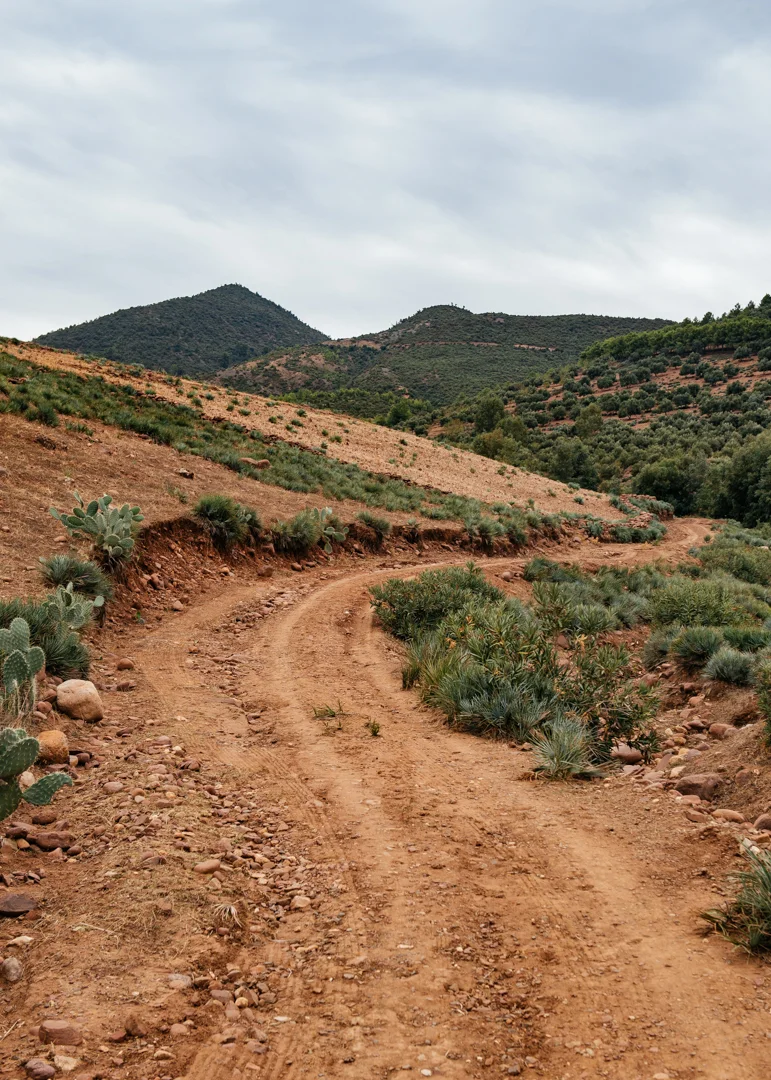 Red clay soil and cactuses where the landscape of this area.