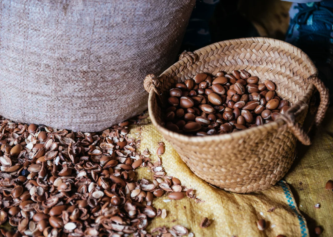 Shells of the argan seeds. 