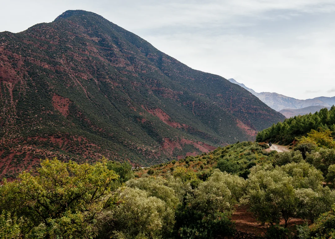 Almond and Walnut groves line the valley.