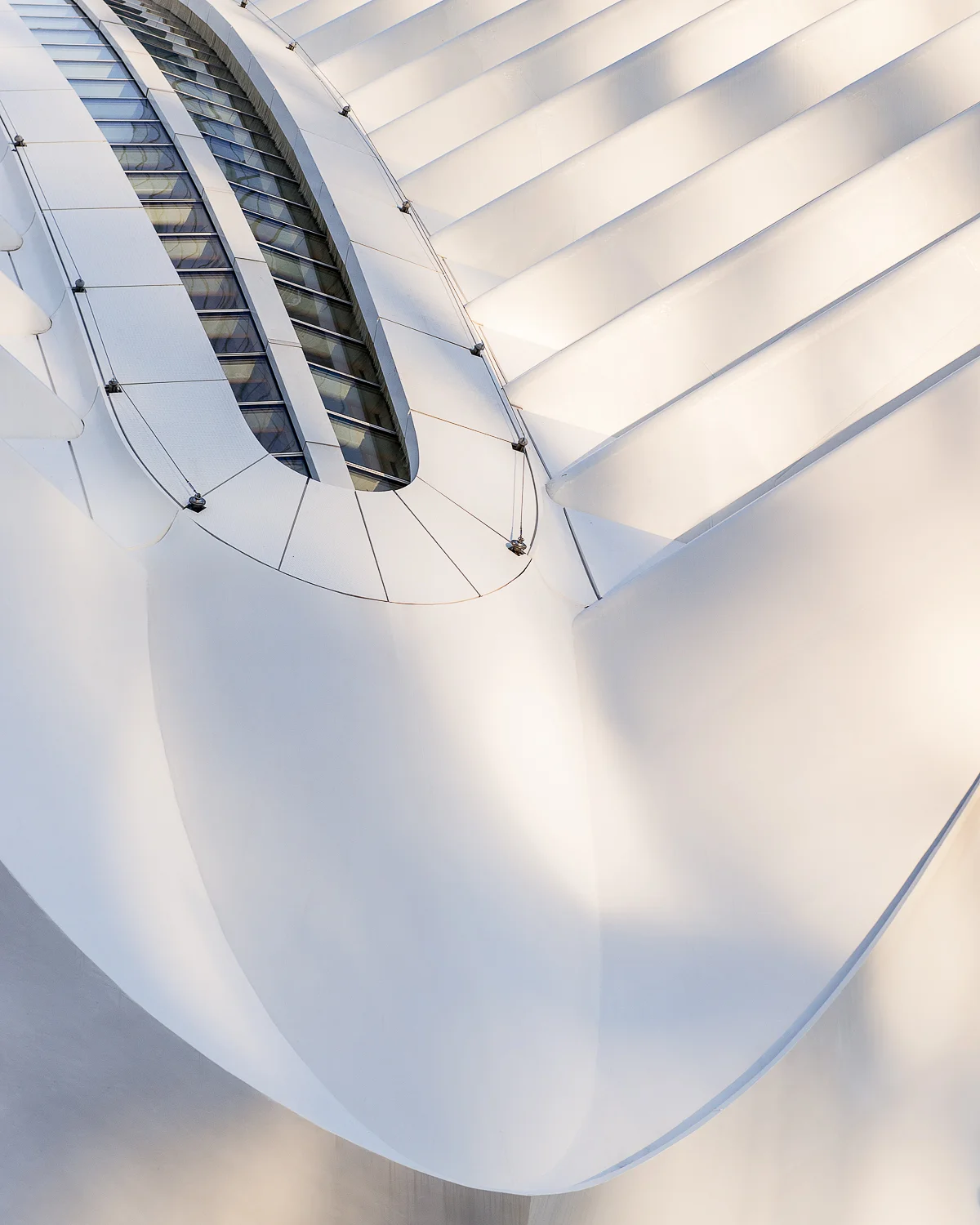 Oculus roof line