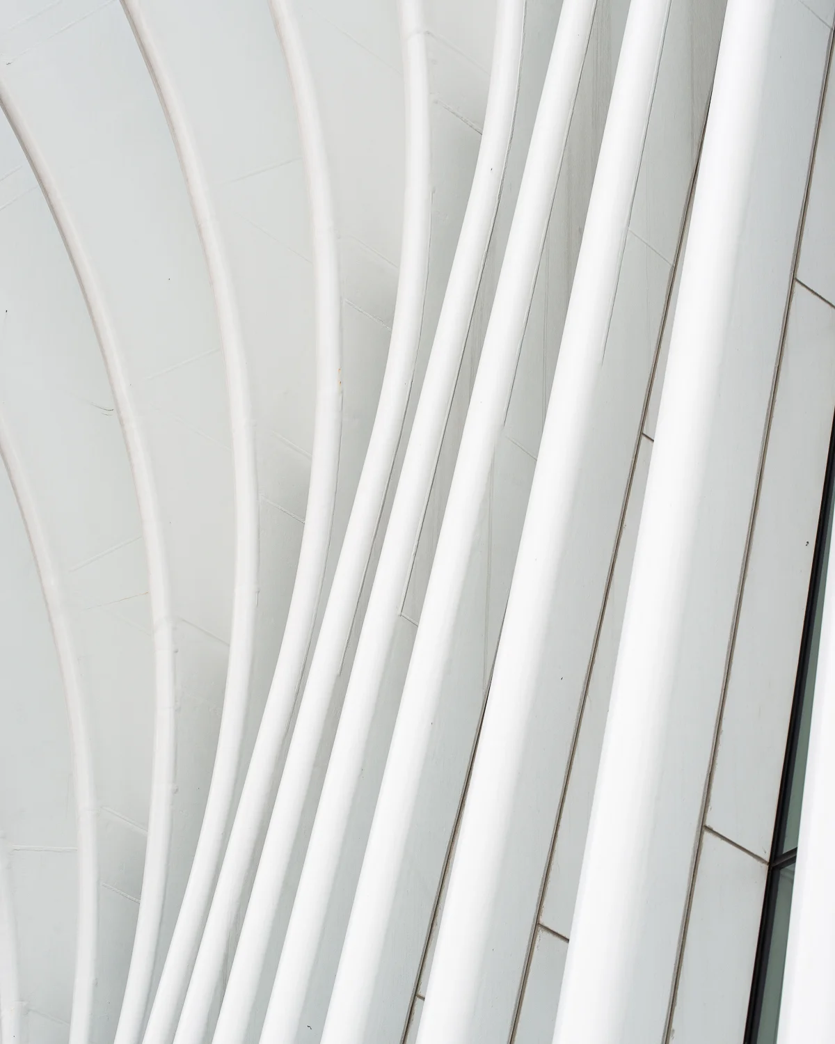 Oculus detail