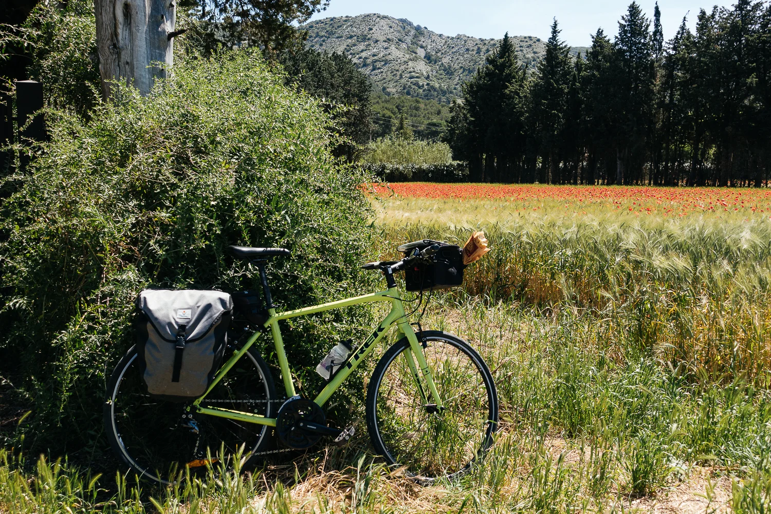 Wheat fields full of red poppies and a baguette, ready to ride!