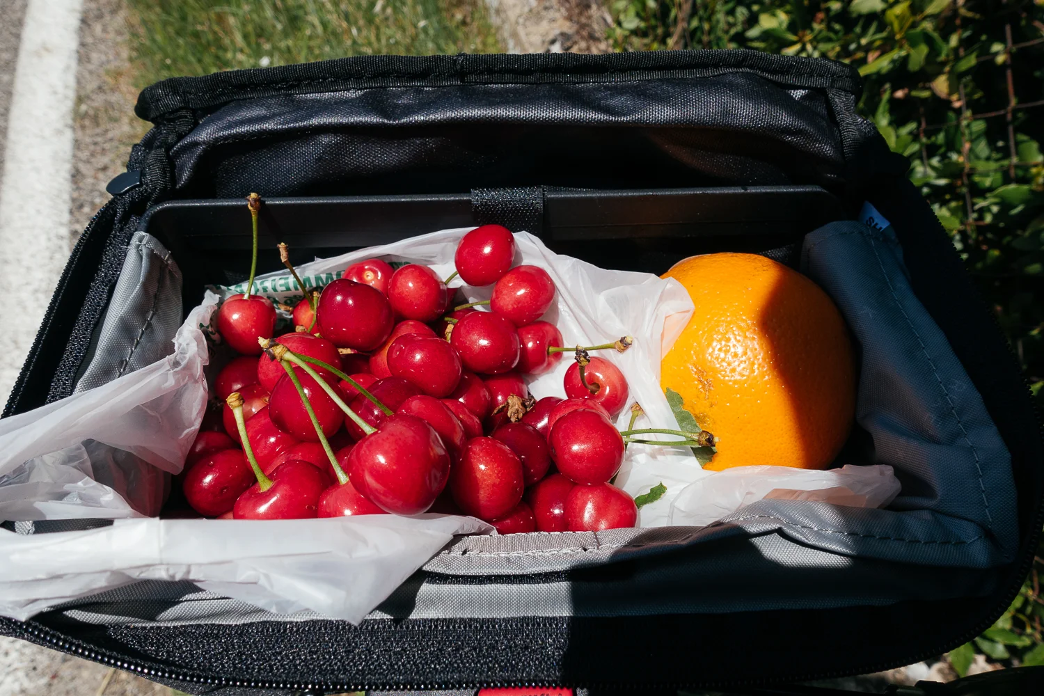 Fuel for the climbs.