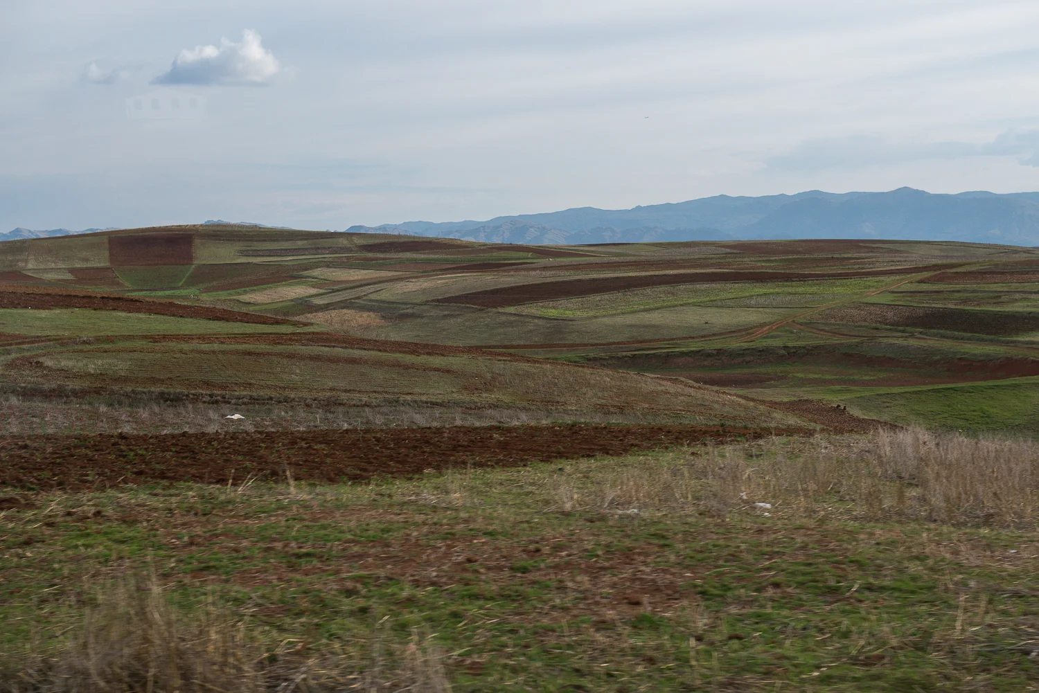 DSC_3322.jpg