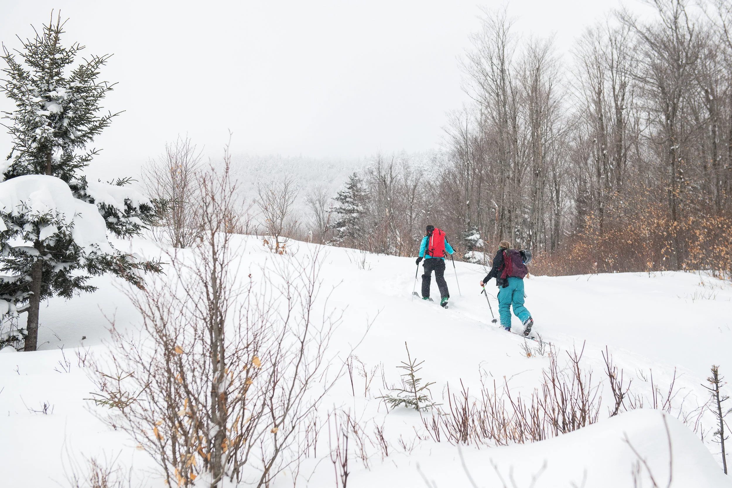 Kit leads the way up to the Crescent Ridge Glades.