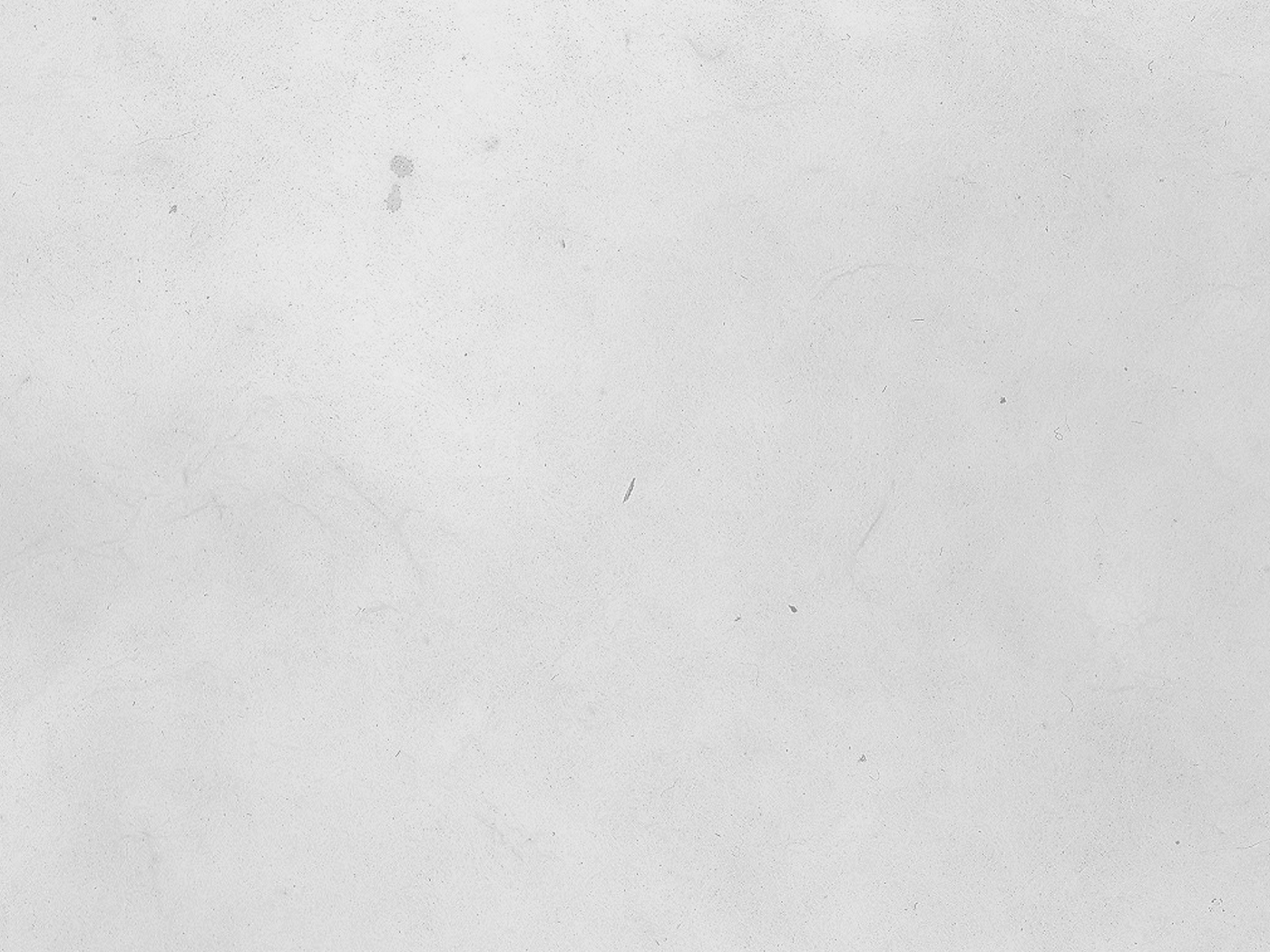background.jpg