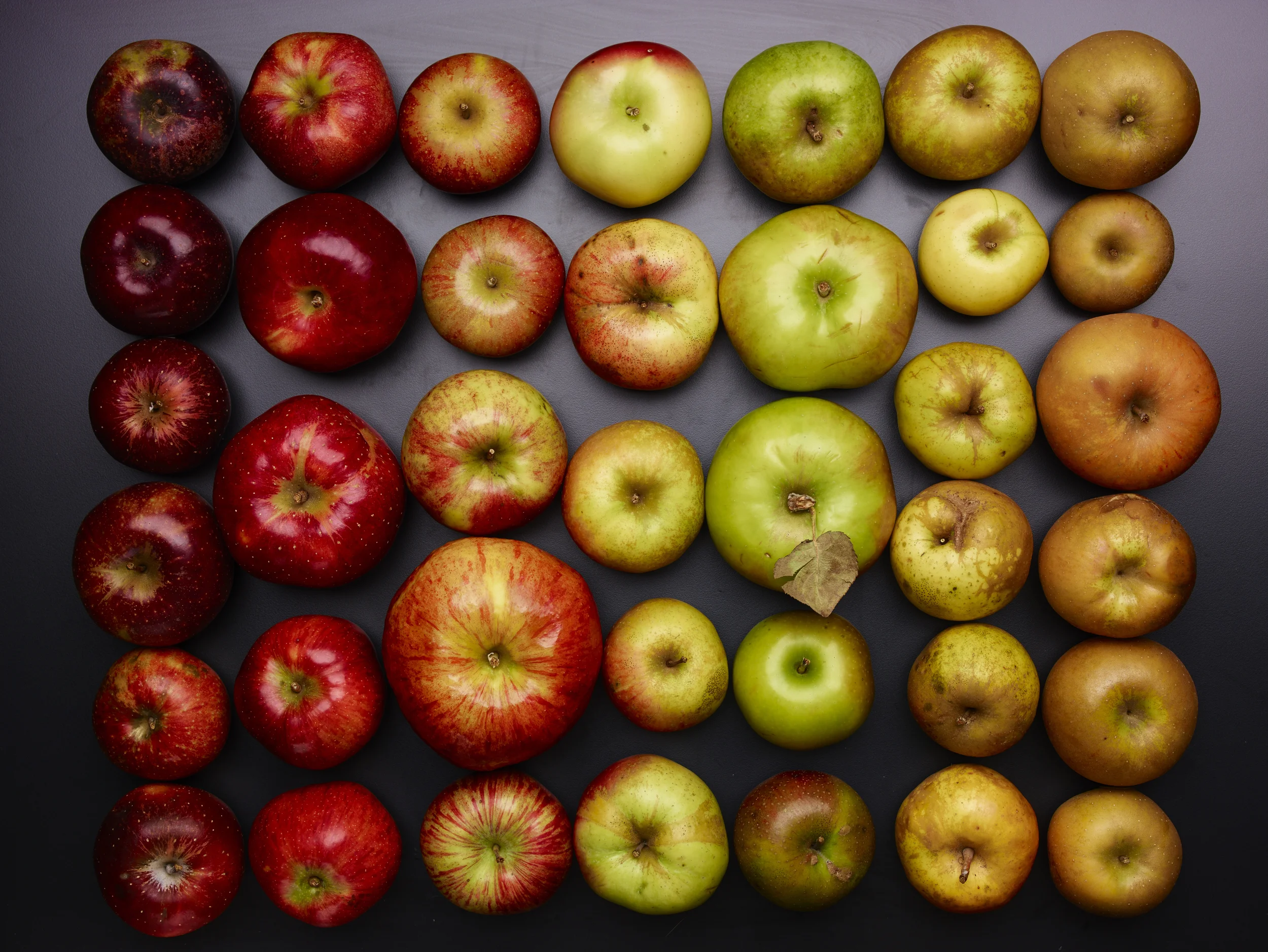 Apples15587.jpg