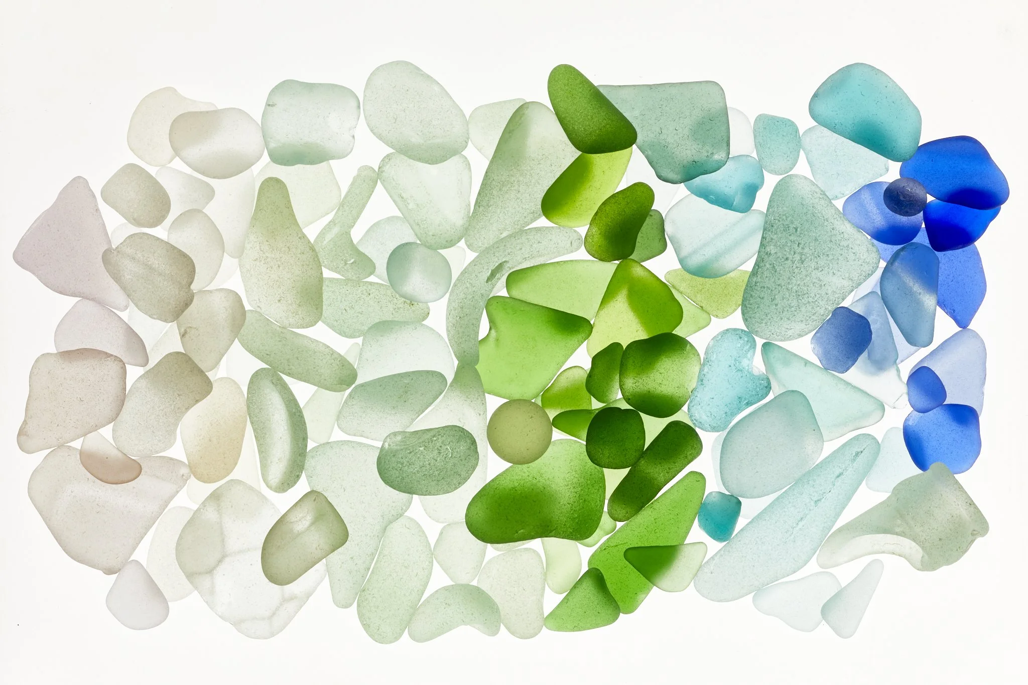 MM9682_20220114_0324 1.jpg