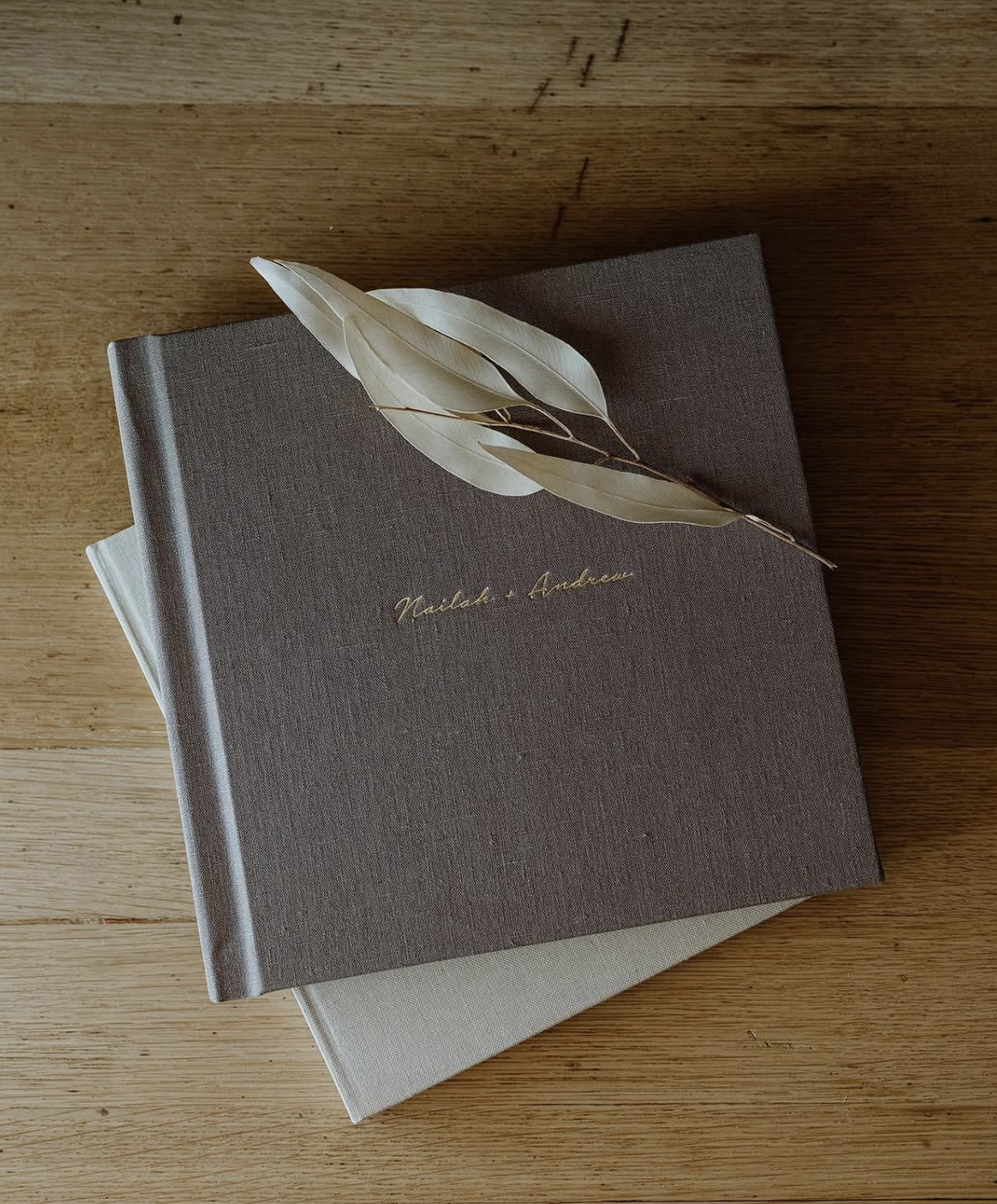 Screenshot 2025-11-17 at 11.29.17 AM.png