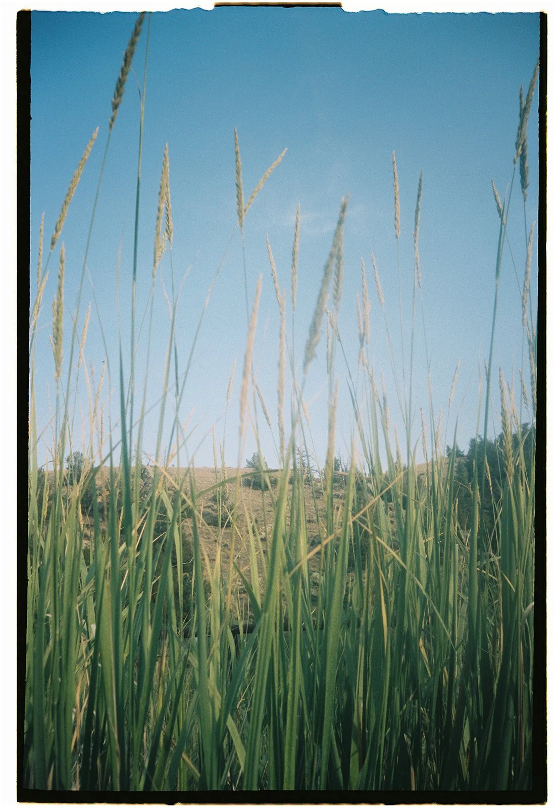 rylie x jeremiah film-273.jpg