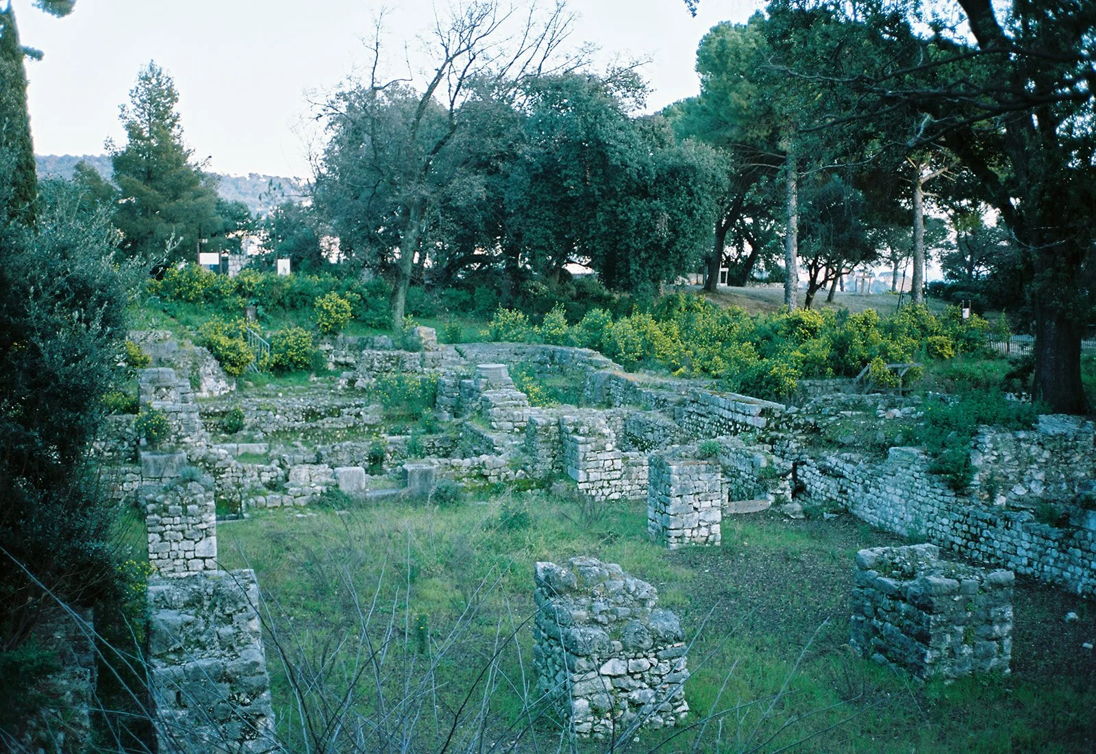 monaco x nice-121.jpg