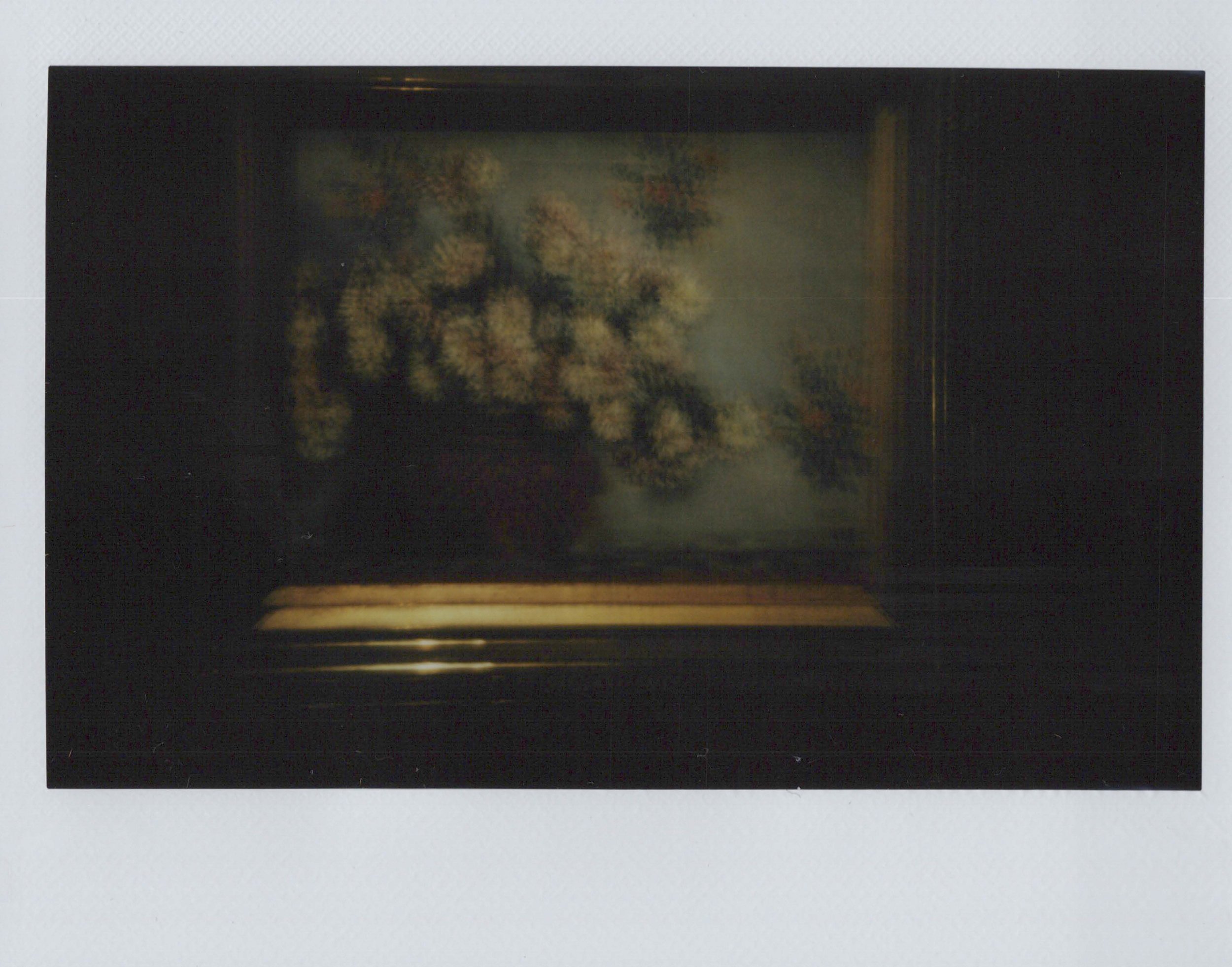 Polaroid Postcards-5.jpg