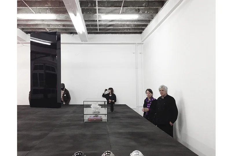 CharlotteTruwant_FordeInstallation_Opening.jpg
