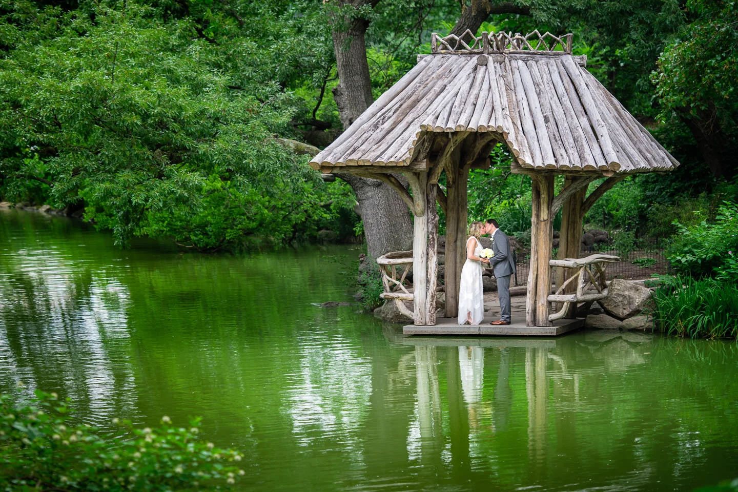 DSC_6668.jpg