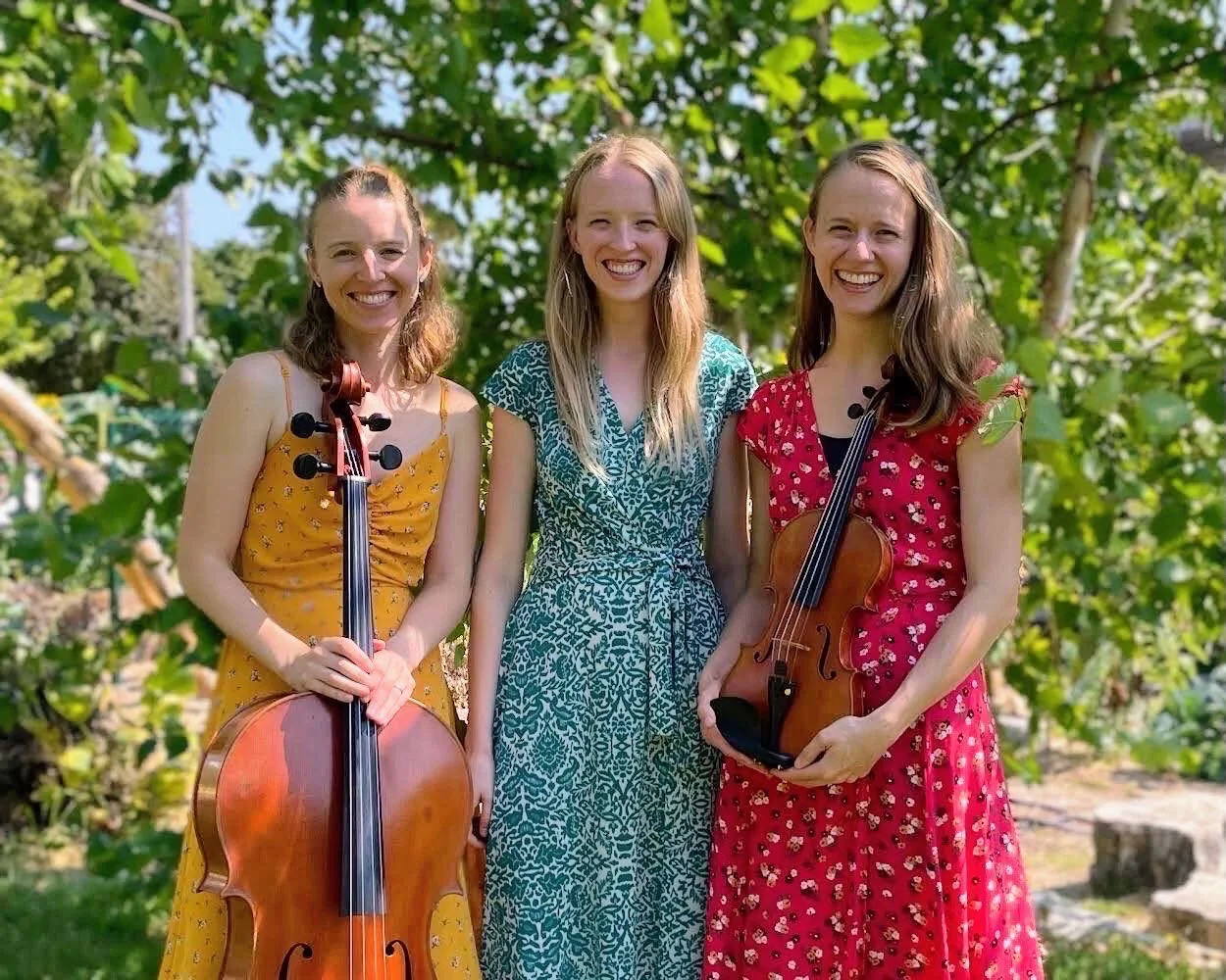 Music Appreciation Series: Avanti Piano Trio