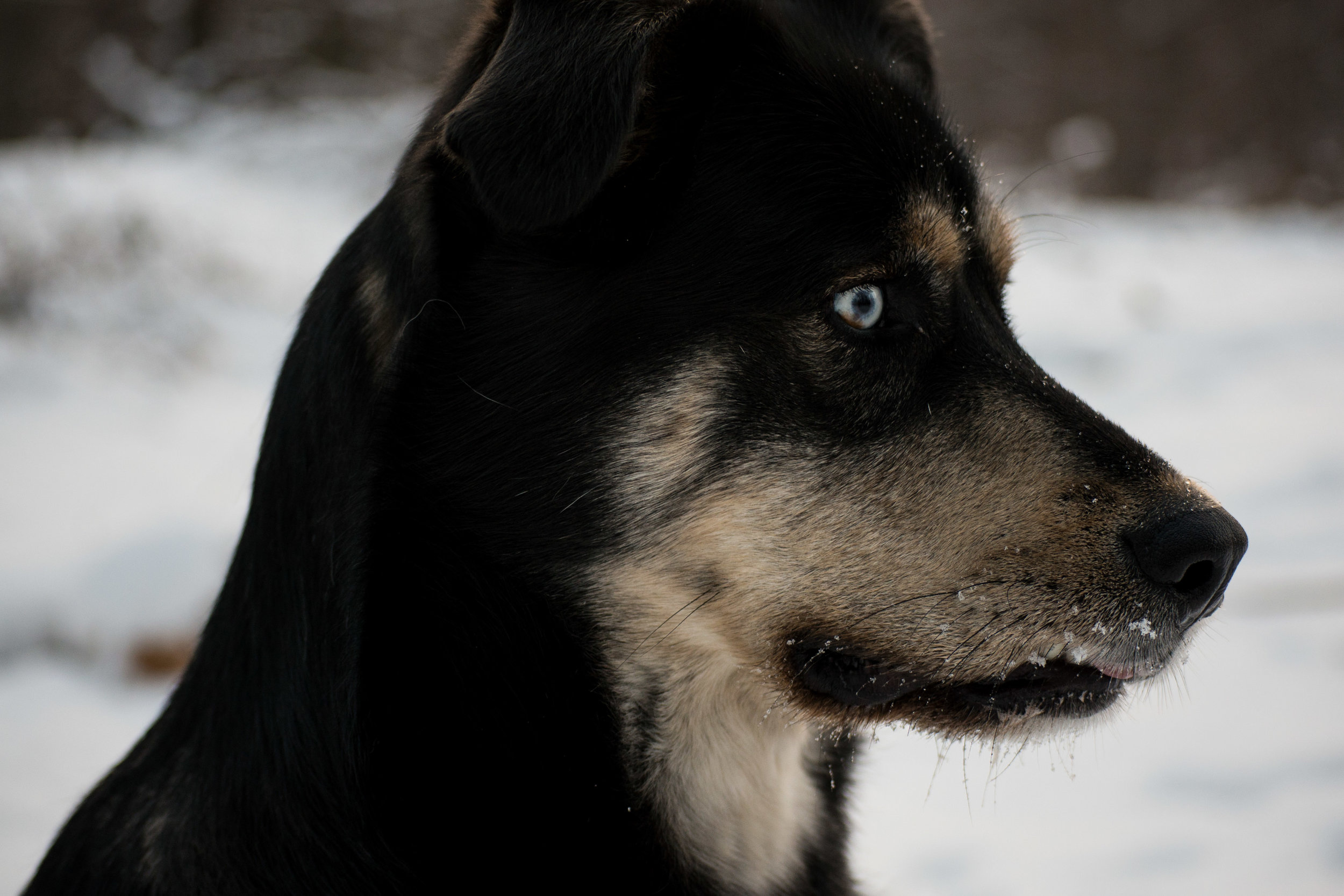 Photo A Day Challenge