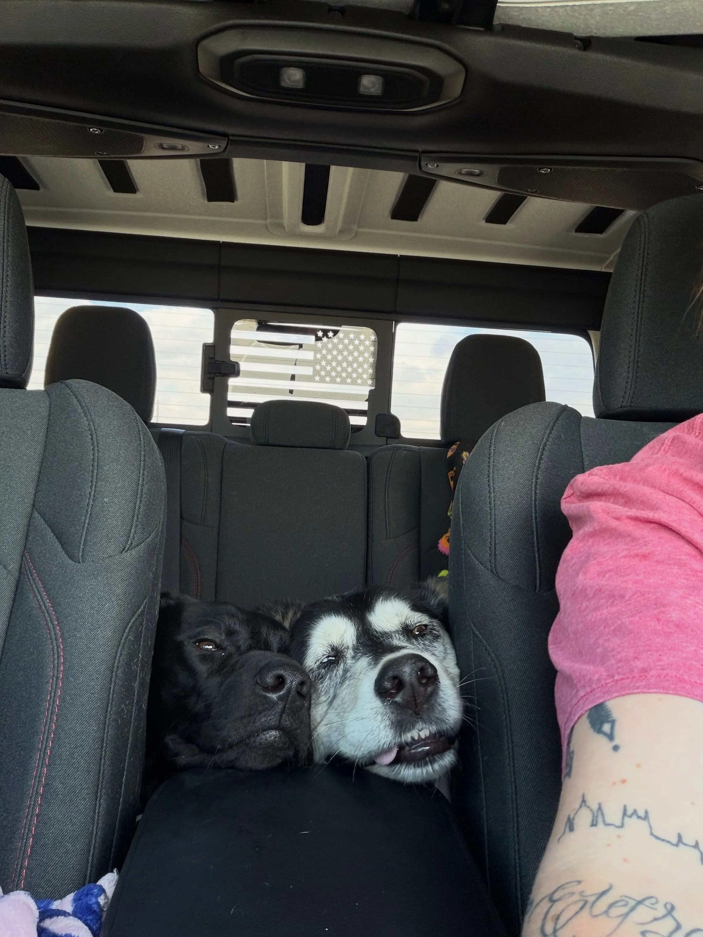 Life update: we have been since the move that it&rsquo;s been little updates but now life is settling down and we are getting into a better routine. We made it Texas about two months ago now. The boys rode with me, which wasn&rsquo;t the original pla