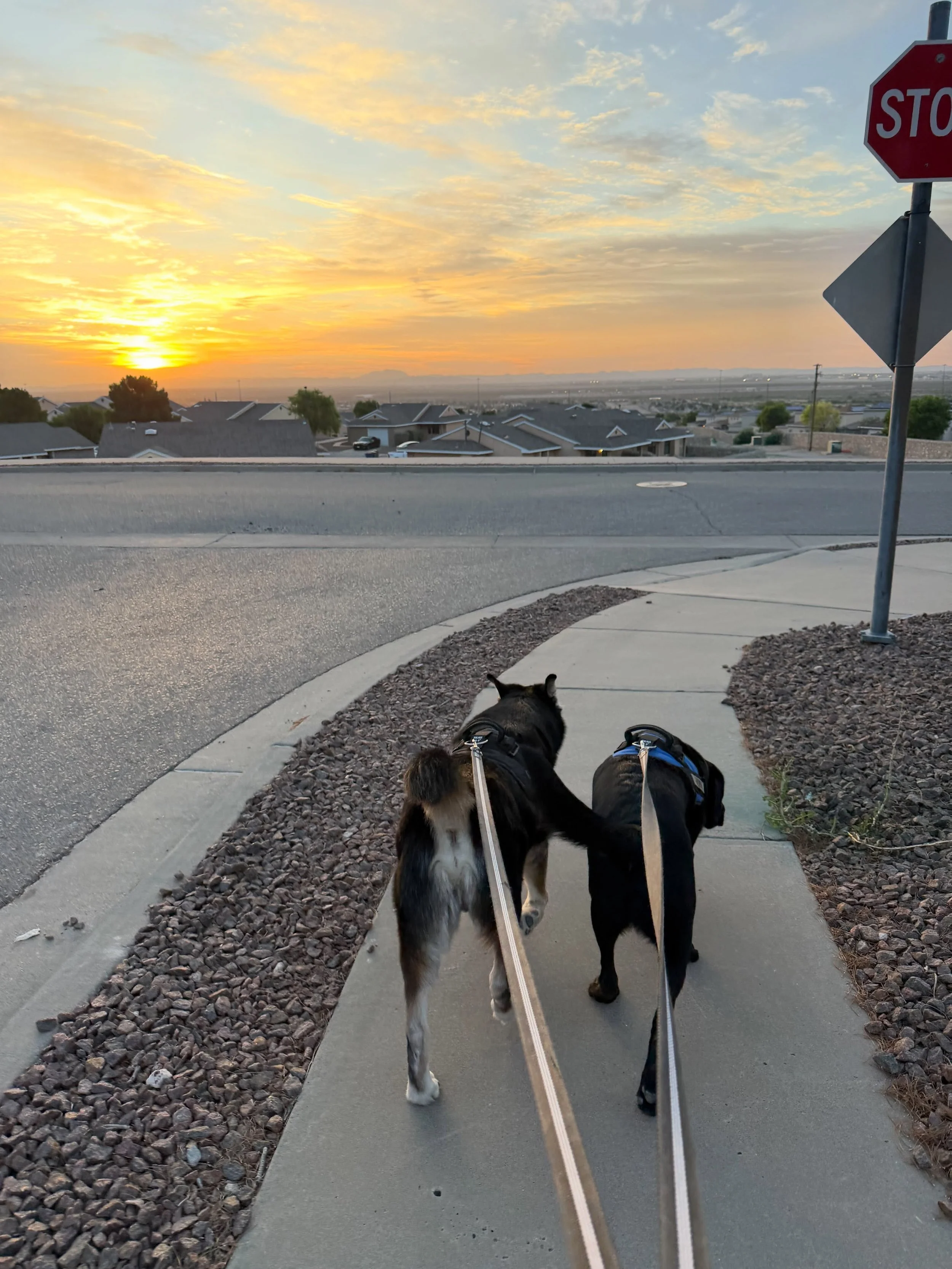Yesterday was a whirlwind, and let just start off by saying that God is good! Since moving here I&rsquo;ve made it a point to walk almost every day. It is how I start my day and I&rsquo;ve come to enjoy it. Just me, my boys and God. It&rsquo;s a time
