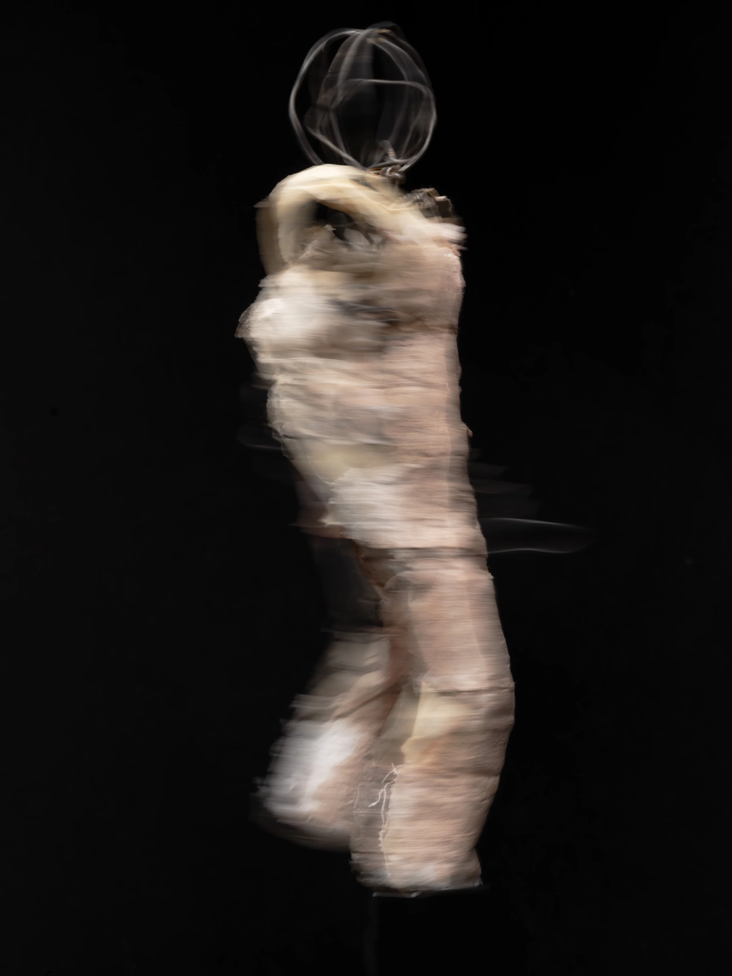 DSCF7735-DxO_DeepPRIME XD2s.jpg