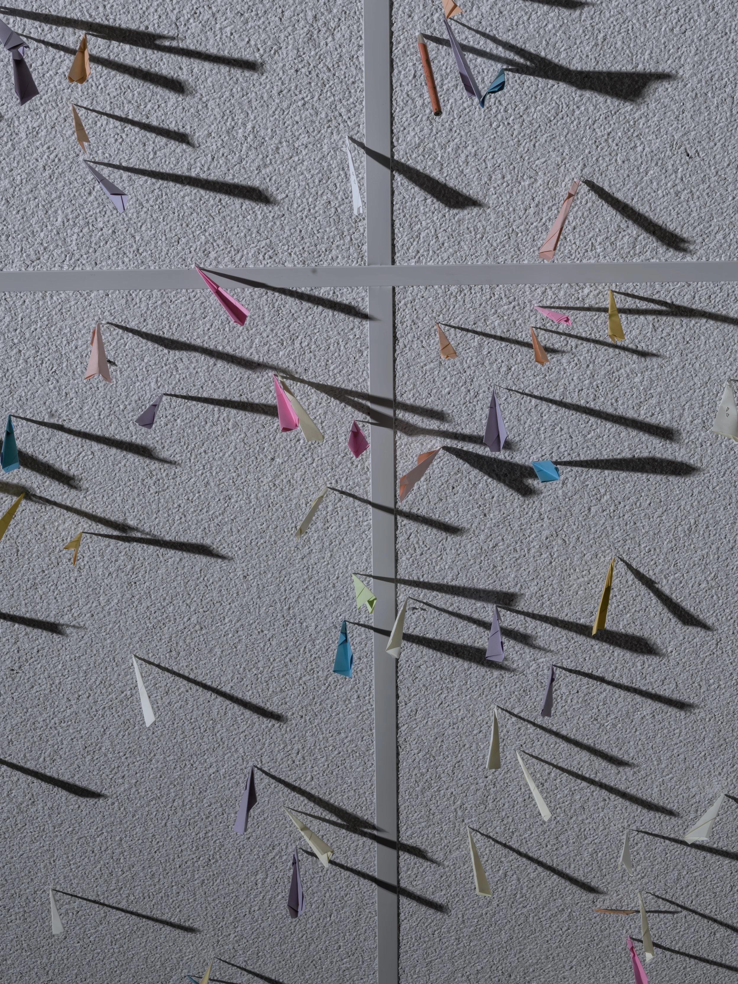 DSCF7638-DxO_DeepPRIME XD2s.jpg