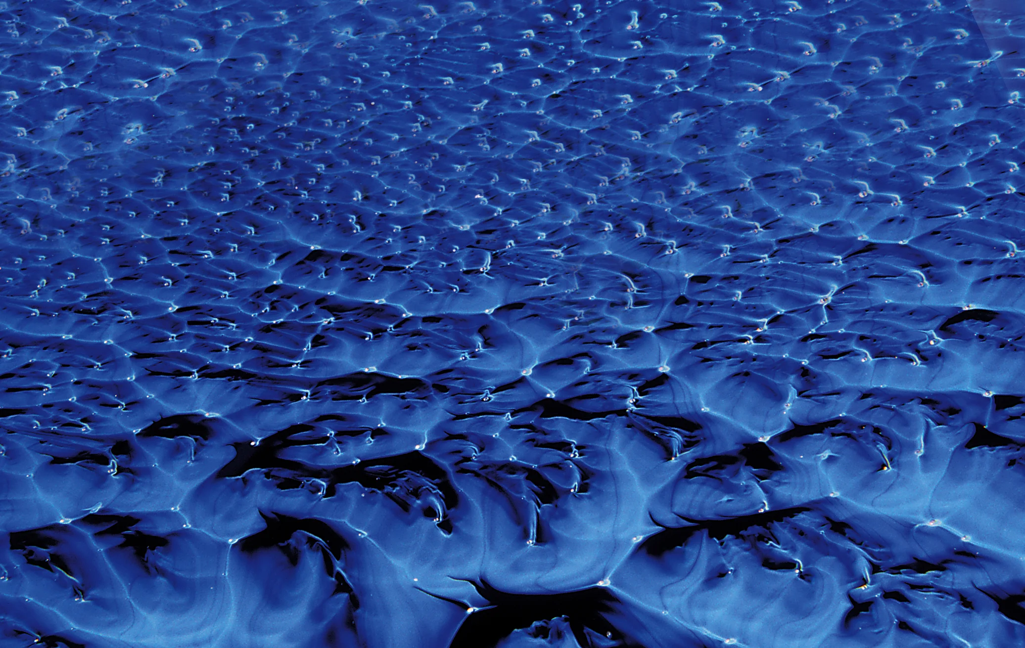 NewMexio closeup JoshSimpson .jpg