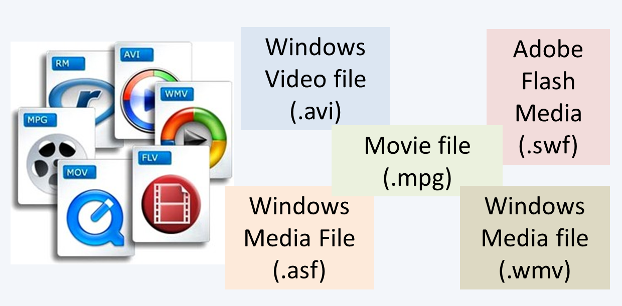 Why-Not-PPT-01.png