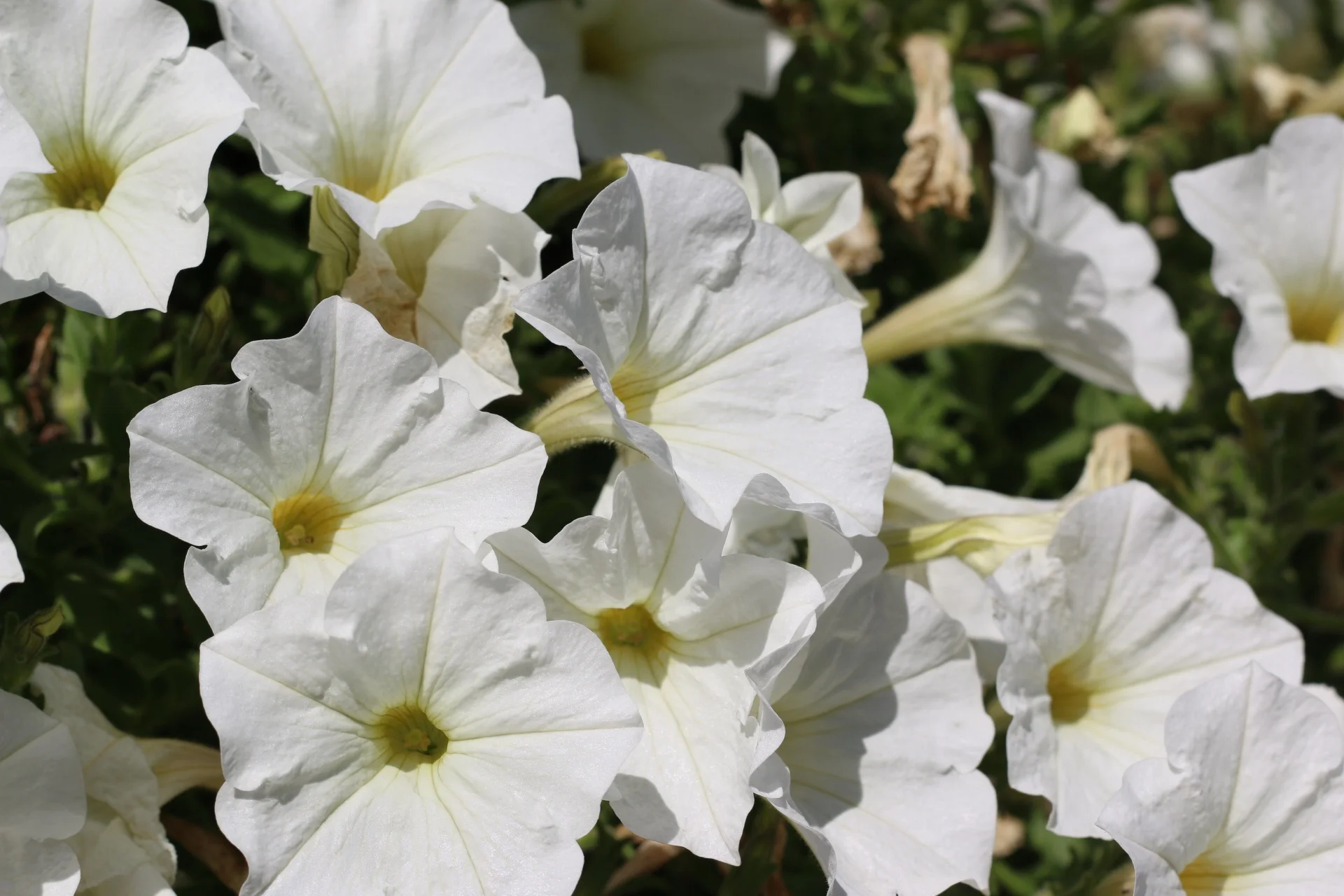 2014-09-26 14.40.42.jpg